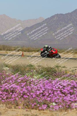 media/Feb-04-2023-SoCal Trackdays (Sat) [[8a776bf2c3]]/Turn 15 Inside Blooming (1050am)/